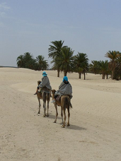 Passeggiata sul dromedario, Douz, Tunisia (Simone Valtorta, 2009)